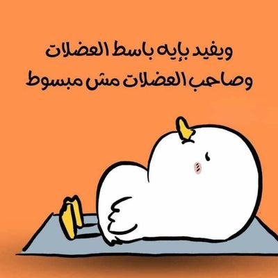 abbyabdrabou2's profile picture. 