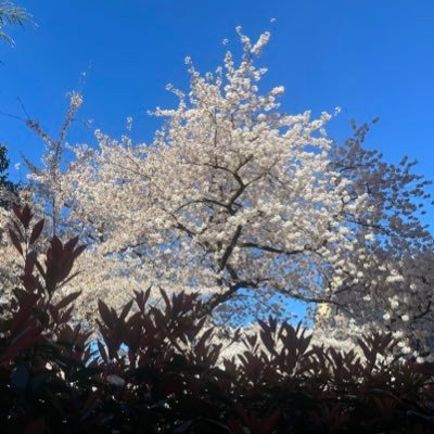 DB_lunation's profile picture. Fuori dalla NATO e dalla UE