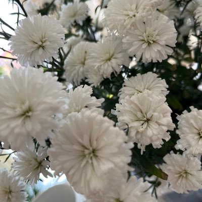 smyth55128's profile picture. Advocate for everything I’m passionate about……and I’m usually right!😂🇨🇦. I feel as if the world is about to implode any day.