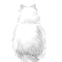 ifu (@f_eve09) 's Twitter Profile Photo