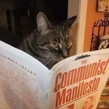 Istoriaaa1917's profile picture. 总而言之，我憎恨所有的神。