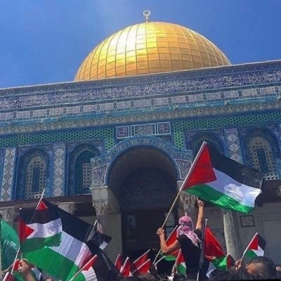 f_fasta1's profile picture. 