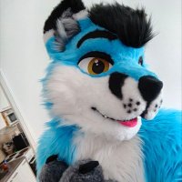 Pulikka Fox🩵🦊 (@pulikkka) 's Twitter Profile