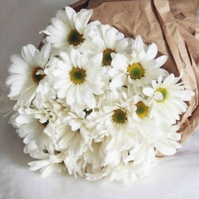 MohamadMoh88909's profile picture. 