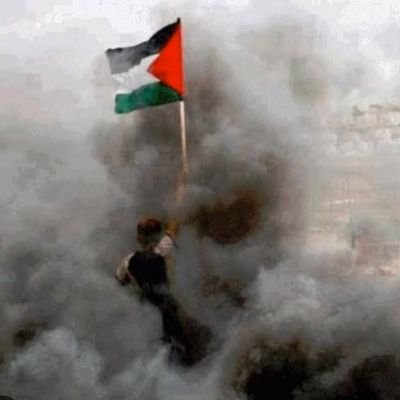 BushraNaveed3's profile picture. 