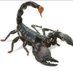 scorpionscorpio69 (@scorpionscorp69) Twitter profile photo scorpionscorpio69 (@scorpionscorp69) Twitter profile photo