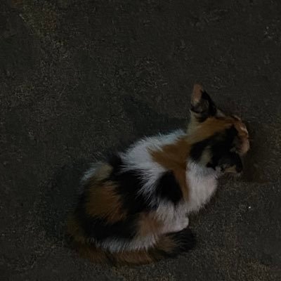 26janty_'s profile picture. ทีวีปิด เปิดได้มั้ย