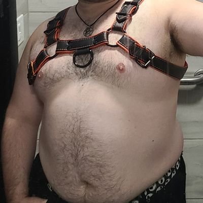 NSFW. 31. He/they. Gay. Chubby bear. Soft Dom, vers. Kinky and nerdy. Pup handler. DMs open, especially if you're local and want to meet up. Trans men are men.