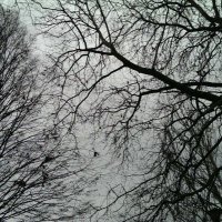 HeroXXL (@erobluma) 's Twitter Profile