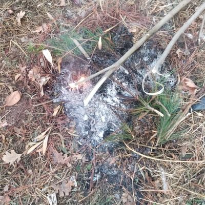 110itfaiye53's profile picture. 