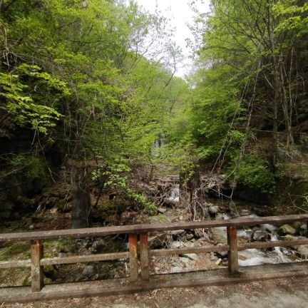 tyutatsu234's profile picture. 明治大学ラグビー部とスキー、登山を中心に…