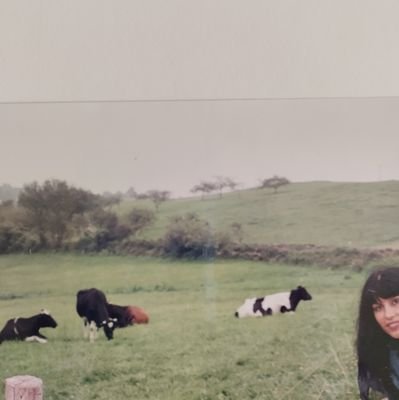 Hapiness2014504's profile picture. Optimista.💫🌞 También realista. Lectora.  Amor a los gatos, la música, animalista. ✨🐱En el término medio está la virtud.✨