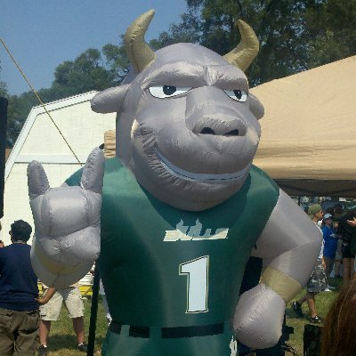 USF grad, Bulls football season tix holder for 17 years, love my wife... that's all I need.  Oh, and a Cubs fan.