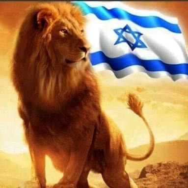 Apoyo total a Israel, me declaro Judio