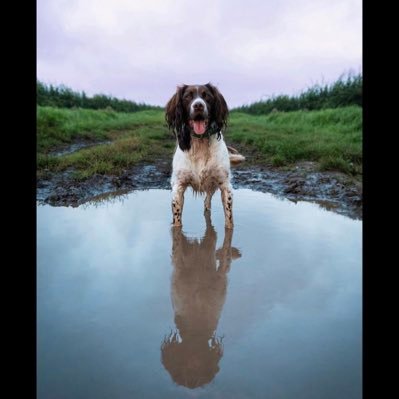 Paigejodieb's profile picture. Wild soul🌾🌞🪐🌻🍄☮️🪩🌈✨Adventure seeker🌅🚐💚