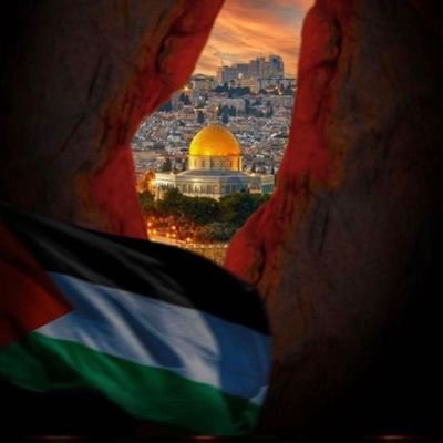 Freedom for palestine