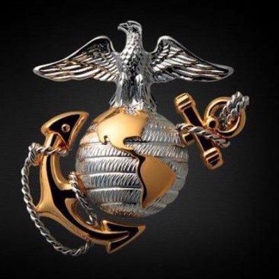 Attorney at Law; Hornet Handler, United States Marine Veteran; American by Birth, Marine by Choice. Politically Indepndent, Semper Fidelis.