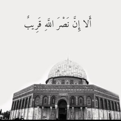 مسلم وافتخر🕌🕋ديني وتربيتي على الأصول مرجعيتي ⚽️🎾🎱أنتمي للأهلي🦅🥇🏆(نادي القرن الأفريقي)وريال مديد.أعمل في السياحة سفريات سيتي ترافل بالكويت ✈️ 🏝