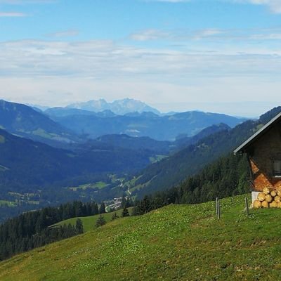 Kapitalismuskritik, Systemkritik - kein Geschwurbel u. keine Verschwörungstheorien, Nazis 🚫