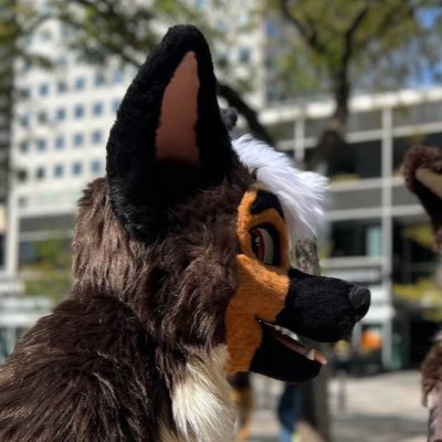 Playful Shep | Good boy | Lover of hugs | Ball?? | Suit by: @rumwolf | Personal account: @Malachi_Wolf