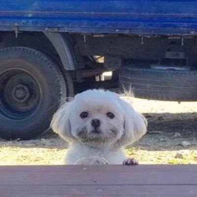 mrchoi0701's profile picture. 안녕