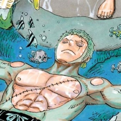zoroscoq's profile picture. they/he | 21 | minors DNI 🔞 | porn side account