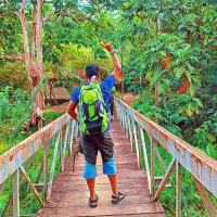 The Cactus (@othmanariell) 's Twitter Profile