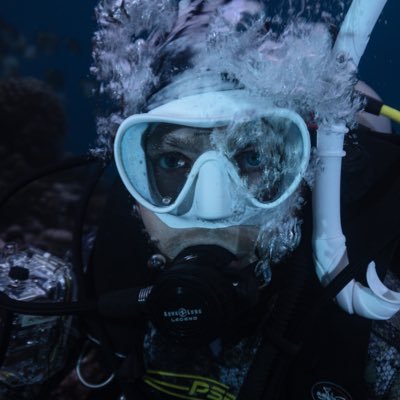 HarnayPierrick's profile picture. PhD student at MassLab (University of Haïfa) and PutnamLab (University of Rhode Island) #PocilloporaLover