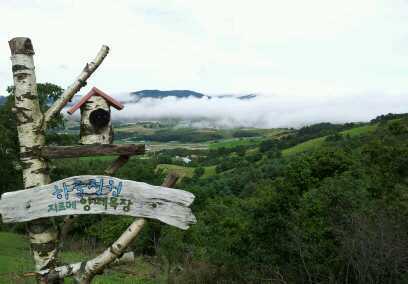 phone1767's profile picture. 