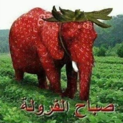 arctic__lights's profile picture. GD Player // Arctic Lights Victor // #1 Djiboutian Flag Enjoyer 🇩🇯