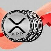 tym11789's profile picture. Innovative blockchain developer revolutionizing digital transactions.