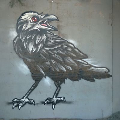 Francokco93's profile picture. ravioles temprano que juega el ciclón