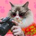 猫猫猪儿虫酱 (@izayoill) Twitter profile photo 猫猫猪儿虫酱 (@izayoill) Twitter profile photo