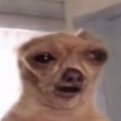 GarchompVGXD's profile picture. Juego fornai