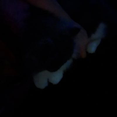 loh_ws's profile picture. 