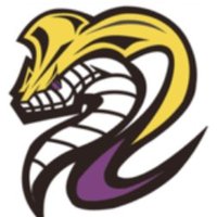 SKCobraFB (@cobra_fb) 's Twitter Profile