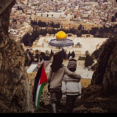 On reconnaît l'âne à ses oreilles, l'ours à ses griffes l'imbécile à ses discours.🇵🇸🇲🇦🦁
