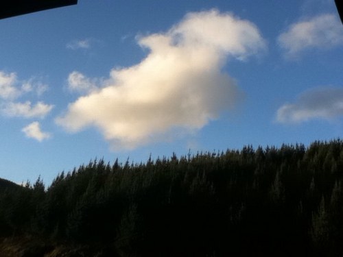 chaeyj0329's profile picture. 