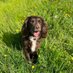 Emma Thomas (@emmathomas23585) Twitter profile photo Emma Thomas (@emmathomas23585) Twitter profile photo