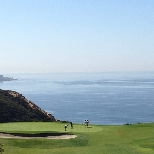 pgirouar3's profile picture. 