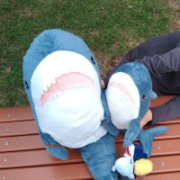 SAMEs (@same2_fanae) Twitter profile photo