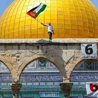 Qaseem Agha (@qaseemagha7) 's Twitter Profile