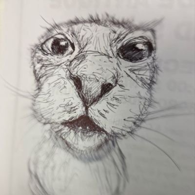 ronosdraftss's profile picture. Yₒᵤₜₘₐₙ !!