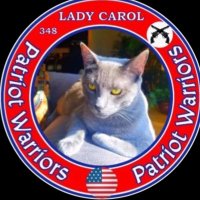 Lady Carol(@LadyCarol64) 's Twitter Profileg