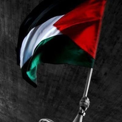 DrAltafBaloch's profile picture. PGY-5 GASTROENTEROLOGY @ShaikhZayedHospital @LahorePAKISTAN