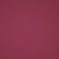 aaakayq (@hnaderalkha6585) 's Twitter Profile