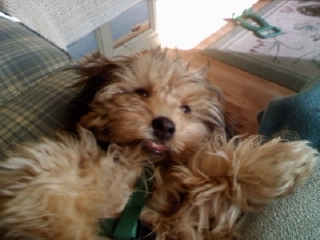 slcs1969's profile picture. 