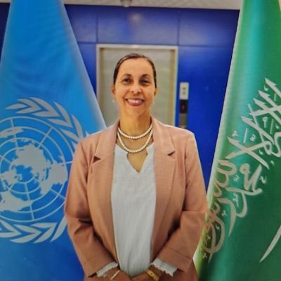 Deputy Resident Representative at UNDP Kingdom of Saudi Arabia Country Office - Tweets are my own.