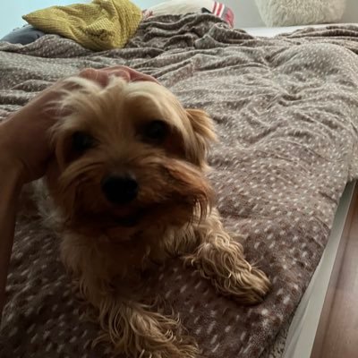 BartekWozniakx's profile picture. 