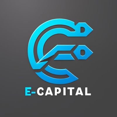 ecapital77's profile picture. Consulting Management Sell e Renting